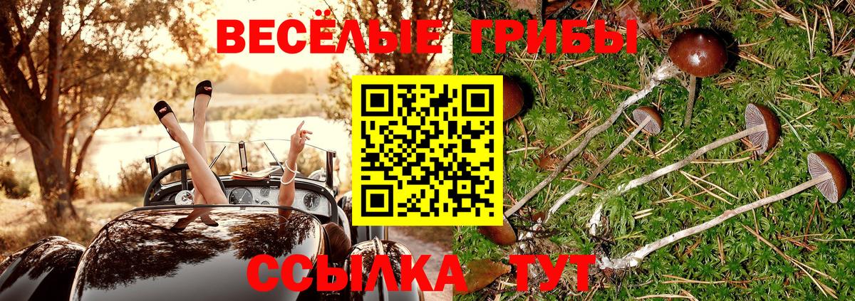 Псилоцибиновые грибы Cubensis Советский